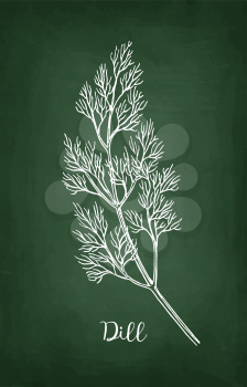 Chalk sketch of dill on blackboard background. Hand drawn vector illustration. Retro style.