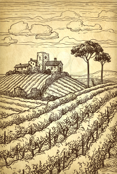 Hand drawn vineyard landscape. Ink sketch on old paper background. Vintage style vector illustration.