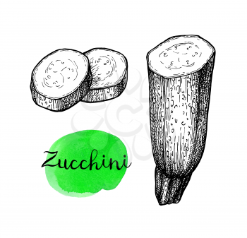 Zucchini. Ink sketch isolated on white background. Hand drawn vector illustration. Retro style. 