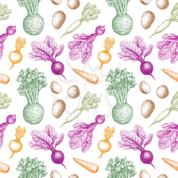 Root Vegetables. Seamless pattern. Colored ink sketches on white background. Hand drawn vector illustration. Retro style.