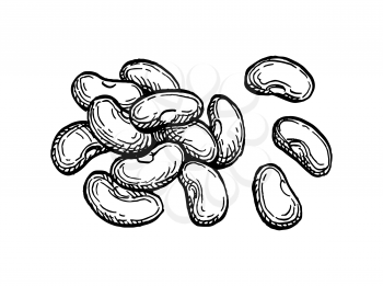 Handful of beans. Ink sketch isolated on white background. Hand drawn vector illustration. Retro style.