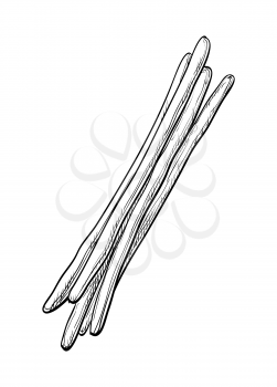 Ink sketch of bread sticks. Isolated on white background. Hand drawn vector illustration. Retro style.