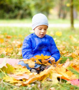 Cute little boy in autumn park holding bunch of yellow leaves