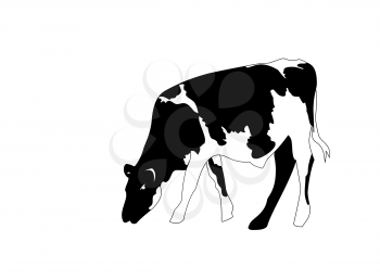 Portrait of a big black and white cow vector