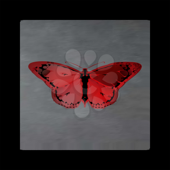 Vintage mystical picture butterfly in scarlet colors on black background. Burgundy silk drape flowing like blood.