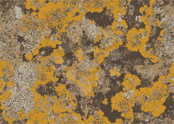 Vintage old wall surface covered with yellow moss. Abstract background.