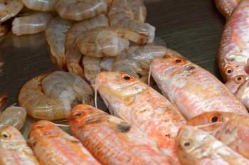 mullet, perch and shrimps on the tabel of fish market 