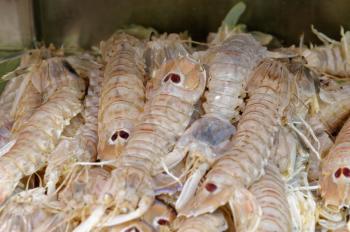 Fresh King Prawns Mazzancolle  of Mediterranean cooking  on the shelves, the tables of the fish market
