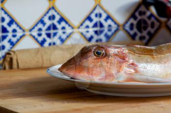Fresh fish with red scales open mouth on white plate close up