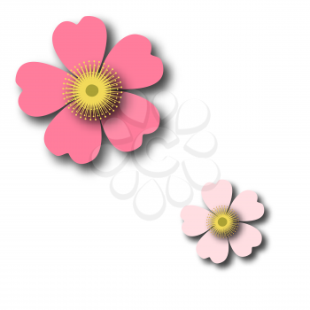 A romantic floral background. Flower. Tender Japanese daisies delicate color