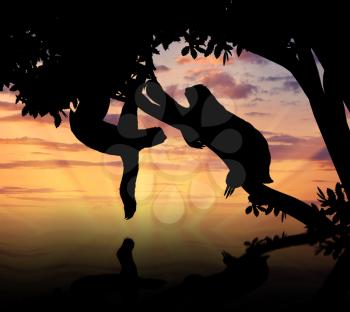 Pair sloths animals in a tree over the river at sunset