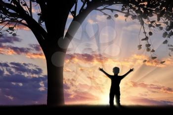 Happy child standing near tree sunset and raised his hands. Childhood concept