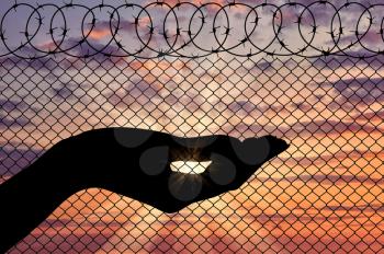 Concept of emotions and feelings. Silhouette refugee arms near the border fence on the sunset background