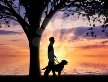 Blind disabled with cane and dog guide walk near sea under tree sunset. Concept help blind disabilities