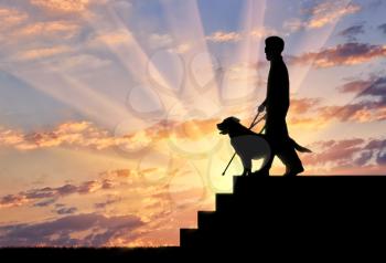 Blind disabled person with cane and guide dog stand on top step on sunset. Concept help blind disabilities
