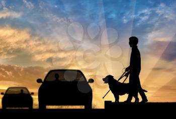Blind man disabilities with cane and dog guide cross road in front of car sunset. Concept help blind people disabilities