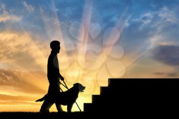 Blind disabled person with cane and dog guide stand under stairs sunset. Concept help blind disabilities