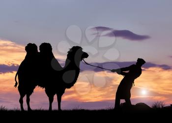 Bedouin and camel silhouette at sunset. The concept of tourism and Journey