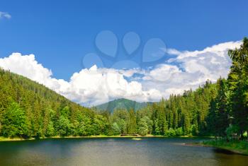 Mountain landscape lake in a forest. Summer season