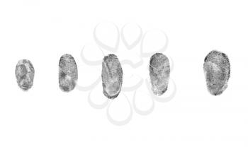 Identification and security concept. Fingerprints on a white background