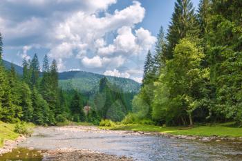 Mountain river in the forest on a background of mountains. Summer landscape
