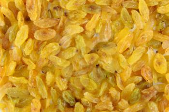 Yellow sweet raisins. Close-up background texture