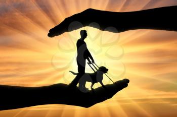 In hands a blind man and dog guide on a sunset background. Concept of helping blind people with disabilities