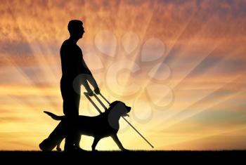 Silhouette of a blind man disabled man follows a dog guide on a sunset background. The concept of the blind invalid and the dog guide