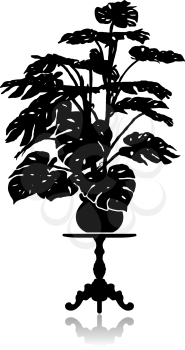 A silhouette of a large monstera standing on a round coffee table.
