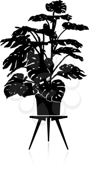 Silhouette of a big monstera in a flower pot on a stand.