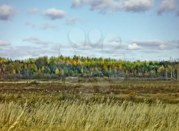 Beautiful Russian autumn landscape with a field, wood and clouds.