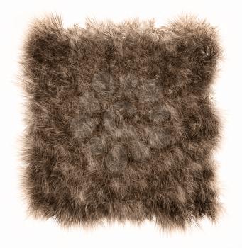 The texture of fur bear - close-up. Fashion element design.
