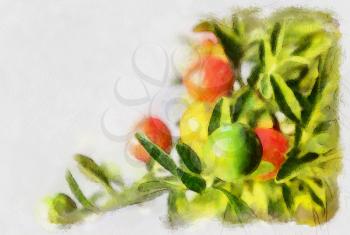 Plant with orange, red and green berries, solanum pseudocapsicum.