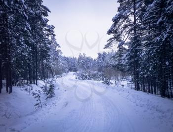 Beautiful winter landscape with snow-covered road. Photo toned.