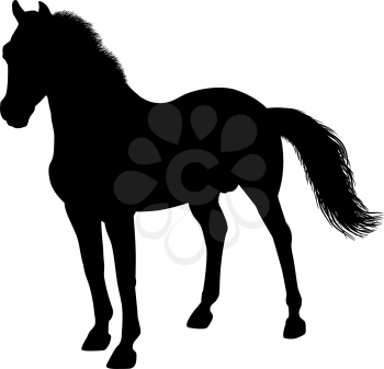 Silhouette of a standing horse. There is a variant in a vector.