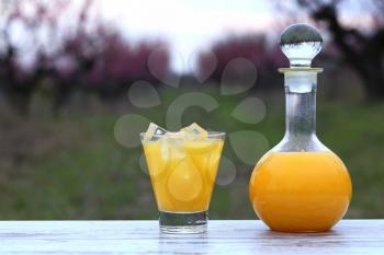 Bottle and glass with orange juice, ice cubes in glass at flower peach tree garden