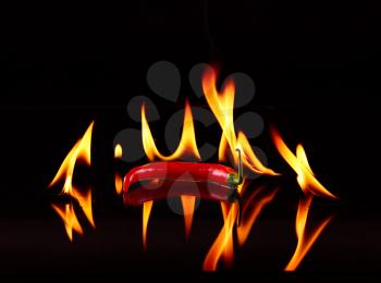 Hot pepper with flame on black background