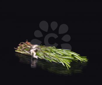 rosemary on a black background