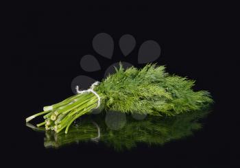 bunch of fresh dill on a black background with water drops