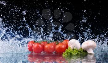 Salad, tomato and with water drop splash