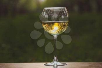 Wineglass with white wine in the blossoming apple orchard
