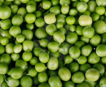 green pea background