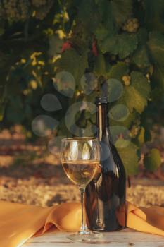 One glass and bottle of the white wine in autumn vineyard. on wooden table Harvest time, sundown on vineyard in autumn