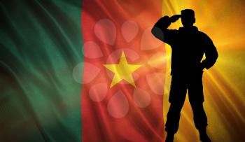Flag with original proportions. Flag of the Cameroon