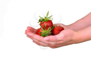 Female hand holding a fresh sweet strawberry isolated on white background. organic strawberries.