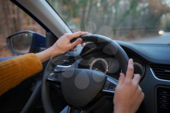Female hands on the steering wheel of a car while driving. Against the background, the forest and road, Close-up