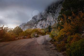 Asphalt road in autumn day. Landscape with beautiful empty mountain road with a perfect asphalt, high rocks, trees and cloudy sky. hipster toning. Travel background. Highway at mountains. Speed