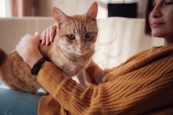 Young asian woman resting with pet in sofa at home in sunny. Beautiful ginger tabby cat. Animals and lifestyle concept.