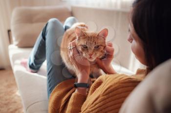 Young asian woman resting with pet in sofa at home in sunny. Beautiful ginger tabby cat. Animals and lifestyle concept.