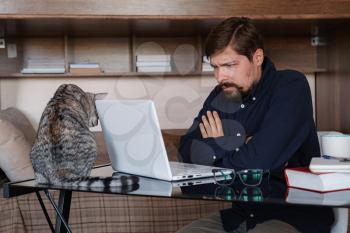 Young bearded businessman sits in home office at table and uses laptop, next sits gray cat. On table is smartphone, paper, books , cup of coffee. Working home concept during quarantine